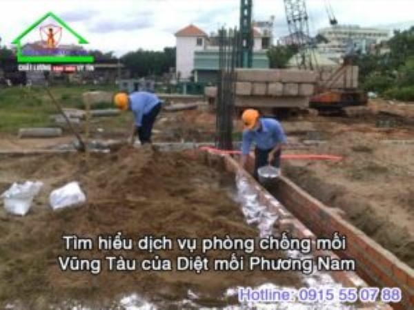 Dịch vụ diệt mối - Phòng Trừ Mối Và Côn Trùng Phương Nam - Công Ty TNHH Dịch Vụ Và Thương Mại Phòng Trừ Mối Và Côn Trùng Phương Nam